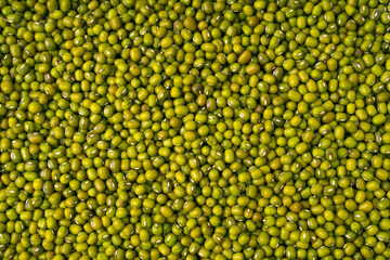 Dry Raw Mung Beans Texture Background, Vigna Radiata Seeds Pattern, Green Gram Mockup