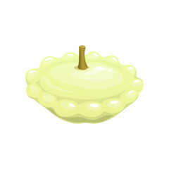 Cartoon raw squash vegetable, vector farm veggie food. White summer squash with dried stem and scalloped edges. Ripe pattypan or patisson, isolated fresh vegetable of agriculture crop plant