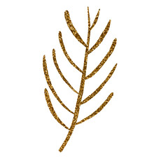 wheat isolated on white background