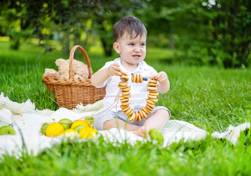 outdoor in park photo session with baby kid boy.child sitting on blanket eating small round pretzel.many apple fruit and lemon,basket and bear toy.green environment.funny face expressions.blurred girl