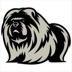 chow chow dog in vector 