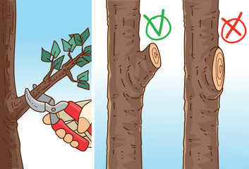 Plants pruning. The human hand in gardening glove trims the gardening plant. The human hand with gardening scissors. Vector illustration. 