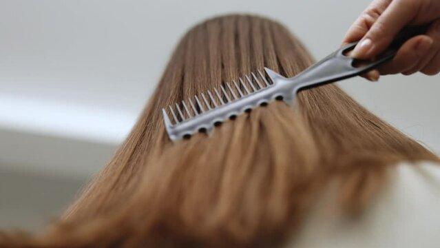 Haircare Concept. Attractive Young Lady Brushing Her Thick Beautiful Hair. Anonymous female combing hair of friend with brush while sitting In Bathroom