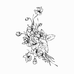 Bouquet of wild violets hand drawn line art retro stile minimalistic