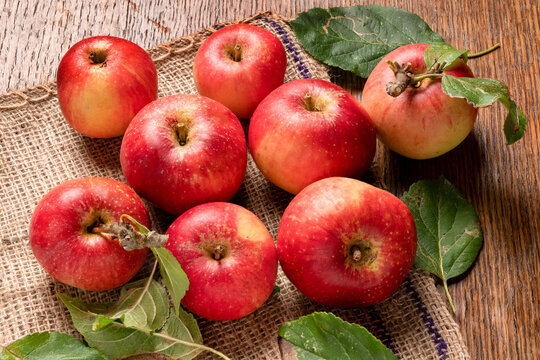 Red Devil Apples Are Freshly Picked With A Few Leaves.