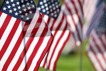 Memorial Day Ceremony, American Flags Flying on Veterans Cemetery