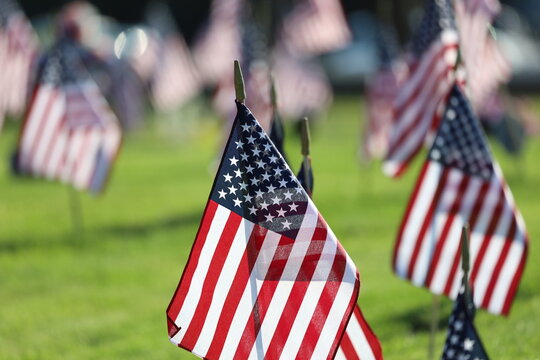 Memorial Day Ceremony, American Flags Flying on Veterans Cemetery
