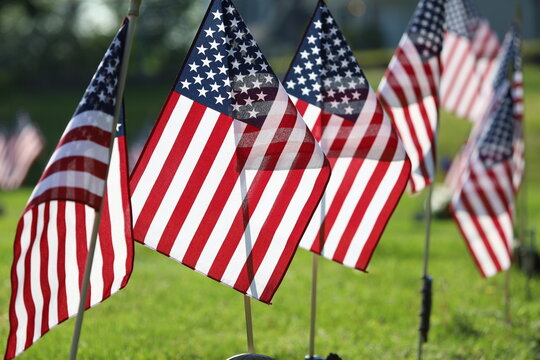 Memorial Day Ceremony, American Flags Flying on Veterans Cemetery