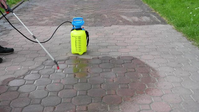 Spraying organic, environmentally-friendly spirit vinegar onto the natural stone pavement (driveway, parking lot) to remove weeds and moss in an eco-friendly manner. Close-up on the hand and the pump 