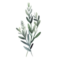 Obraz premium water color lavender isolated in white background