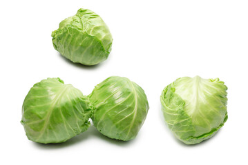 Fototapeta premium Cabbage isolated on white background.