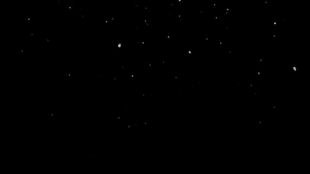 Animation of snow particles falling across the black screen. Snow particles coming down the screen on a chroma key background. Winter, cold, snow, ice concept. black screen