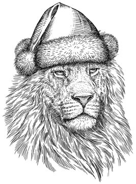 Vintage engraving isolated lion king set dressed christmas illustration ink santa costume sketch. Africa wild cat background animal silhouette new year hat art. Black and white hand drawn image