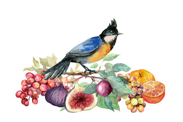 Beautiful exotic bird with summer fruits on branch with green leaves. Watercolor card design