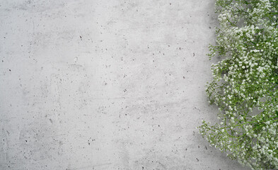 Floral frameGypsophila, Baby's Breath Flowers composition. White delicate flowers on a concrete...