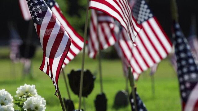 Memorial Day Ceremony, American Flags Flying on Veterans Cemetery