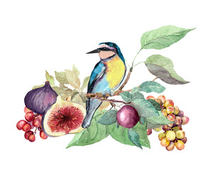 Blue exotic bird with summer fruits on branch with green leaves. Watercolor drawing, summer card beautiful illustration