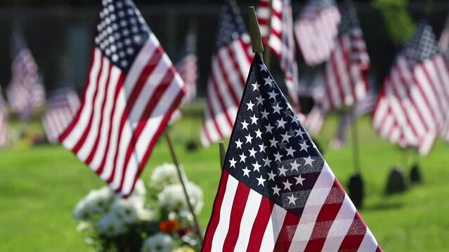 Memorial Day Ceremony, American Flags Flying on Veterans Cemetery