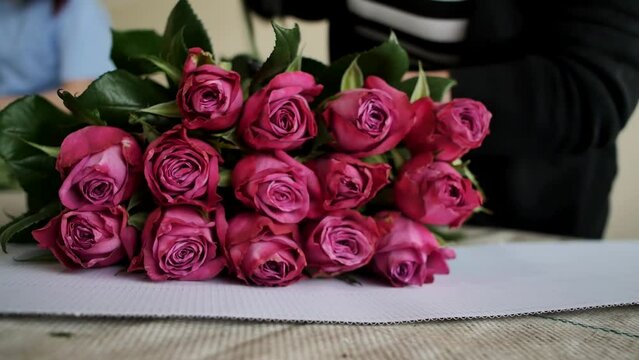 a female greenhouse worker arranges pink roses in even rows for packaging and transportation to a wholesale store. working with flowers in a greenhouse, growing and packing