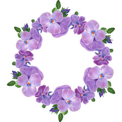 Flowers of pansies, violets - buds and leaves on a transparent background. Collage of flowers and leaves. Use printed materials, signs, objects, websites, maps.