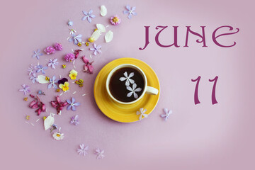 Calendar for June 11: the name of the month June in English, the numbers 11, a yellow cup with tea, scattered flowers nearby on a pastel background