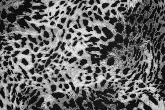 Beautiful leopard Black and white Animal print background
