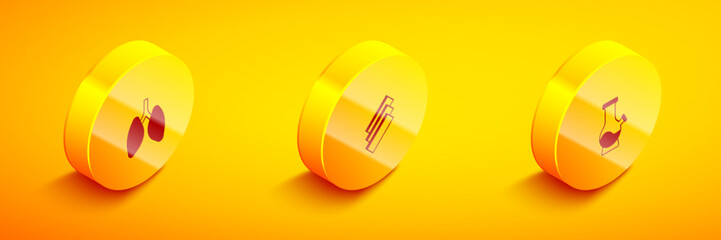 Set Isometric Lungs, Cigarette rolling papers and Bong icon. Vector