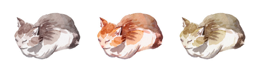 Three Cats Sleeping. Watercolor Painting Illustrate.