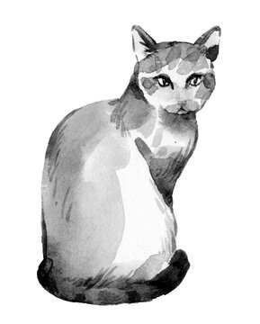 Vintage watercolor illustration of cute cat