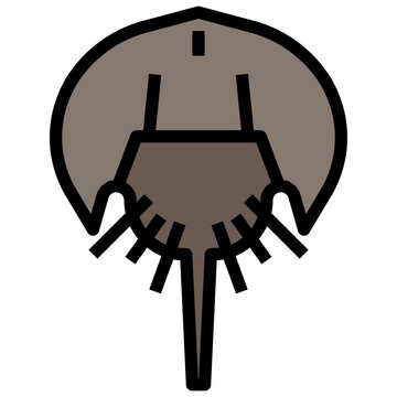 recommend clip art: stingray line icon,linear,outline,graphic,illustration
