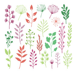 Fototapeta premium beautiful flowers leaves