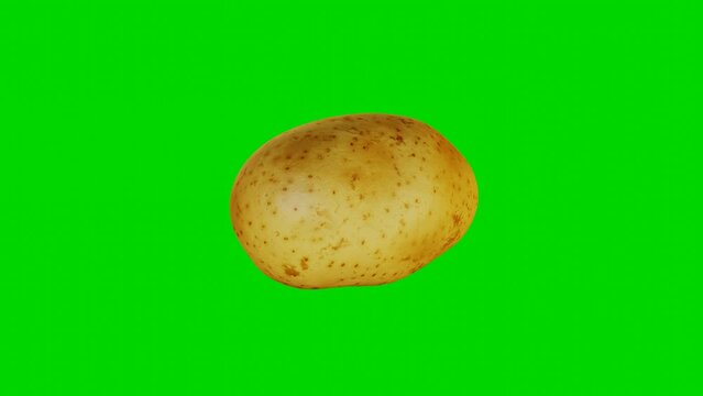 3d render of potato model rotate on green screen