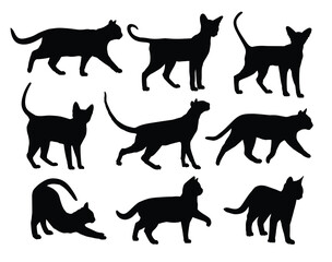 The set of silhouettes domestic cats.
