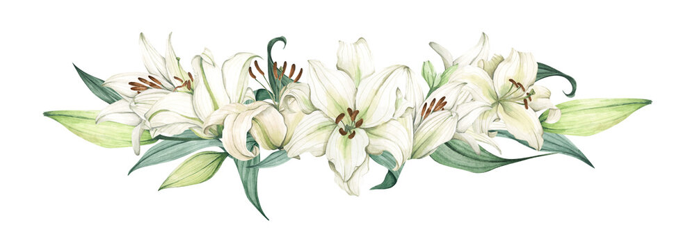 White lily. Floral bouquet. Hand drawn clipart for wedding invitations, birthday stationery, greeting cards, scrapbooking. Watercolor illustration.