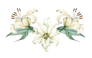 White lily. Floral bouquet. Hand drawn clipart for wedding invitations, birthday stationery, greeting cards, scrapbooking. Watercolor illustration.