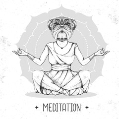 Hand drawing hipster animal bulldog meditating in lotus position on mandala background. Vector illustration