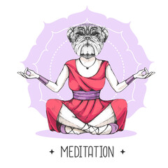 Hand drawing hipster animal bulldog meditating in lotus position on mandala background. Vector illustration