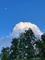 Obraz premium clouds and trees and moon