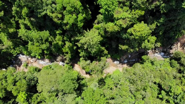 Aerial view of a river flowing through the middle of Indonesia's tropical forest, shot from above
