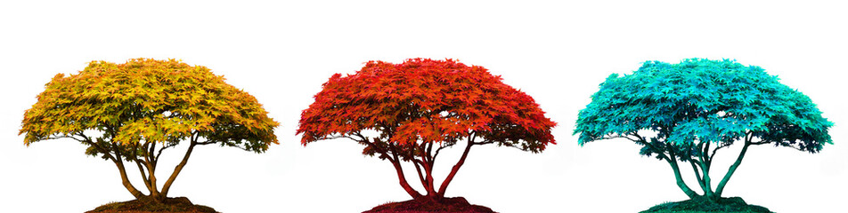 Set of 3 various color Plant Trees isolated png on a transparent background perfectly cutout