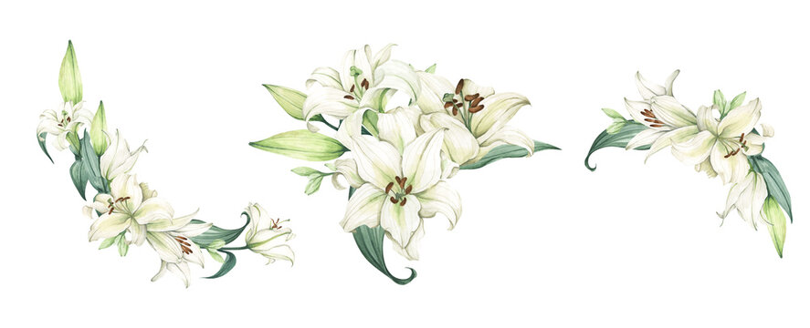 Set of White lily. Floral bouquet. Isolated on white background. Hand drawn clipart for wedding invitations, birthday stationery, greeting cards, scrapbooking. Watercolor illustration.