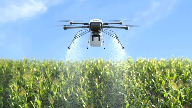 Drone spraying fertilizer on corn fields, Smart farming innovation, Agriculture technology