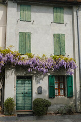 ancient house with green wooden doors and shutters on the windows. Wisteria flowers on the facade of the building. European province