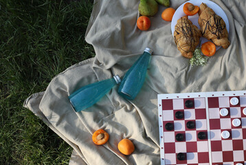 board logic game for family and friends picnic checkers, the game is placed on a picnic blanket in...
