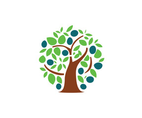 Olive Tree logo image creative cartoon design