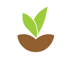 Fototapeta na wymiar Plant in the pot leaf in vase illustration vector image