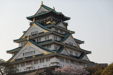 大阪城の桜