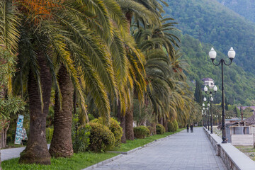 road in the park
