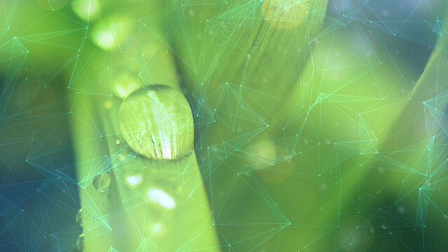 Network business connection eco green earth background.