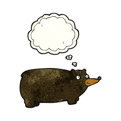 funny cartoon bear with thought bubble
